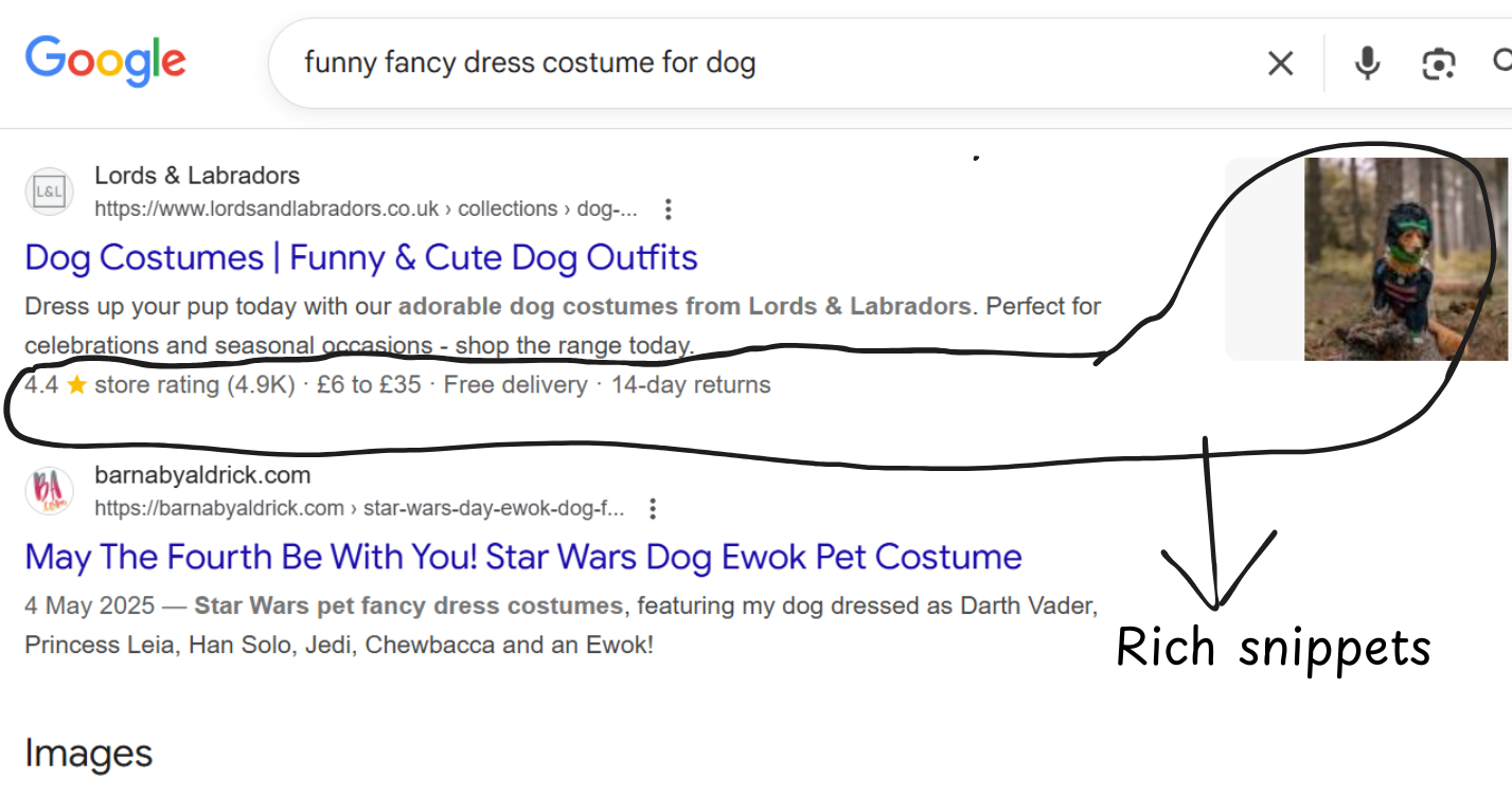 Google search result showing rich snippets — star rating, price range, and review count — for a collection page